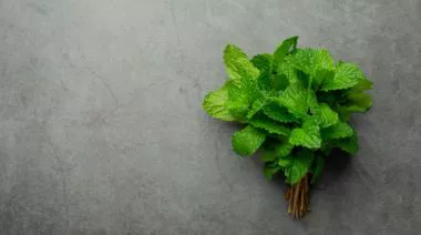 garnishing-instructions-image